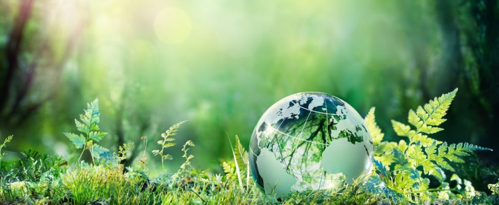 Taksonomia UE, SFDR i Weryfikacja Europejskich Zielonych Obligacji