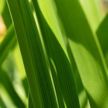 System Zarządzania Środowiskowego ISO 14001: Krok w Kierunku Lepszych Praktyk Środowiskowych