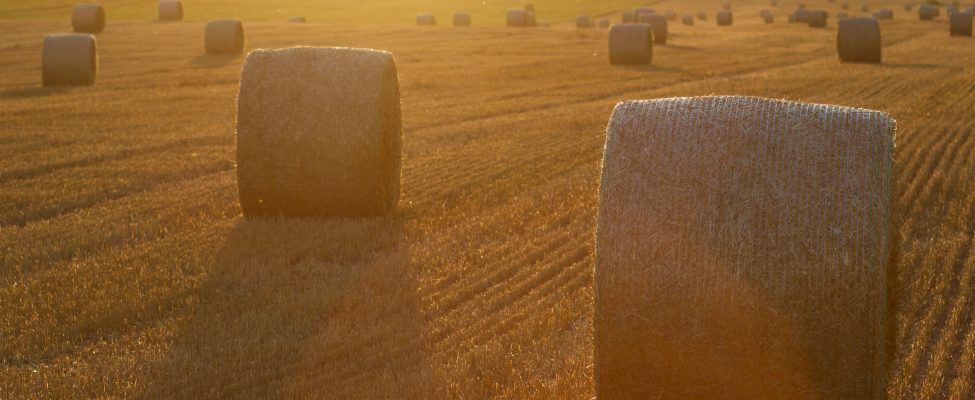 Miło nam poinformować, że uzystaliśmy  zatwierdzenie i aprobatę jako jednostka certyfikująca dla systemu SURE-EU