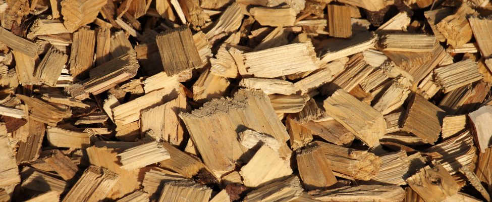 Program Weryfikacji Zrównoważonych Zasobów (SURE-EU)