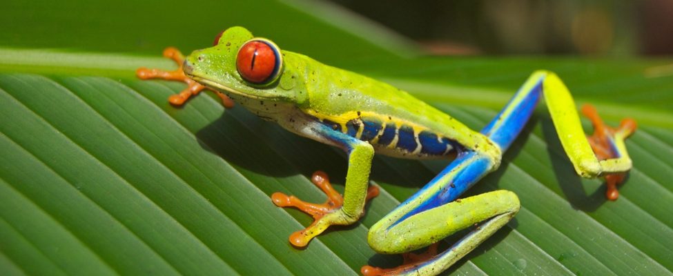 Zrównoważone rozwiązania: jak ISO 14001 przyczynia się do walki z zanieczyszczeniem tworzywami sztucznymi