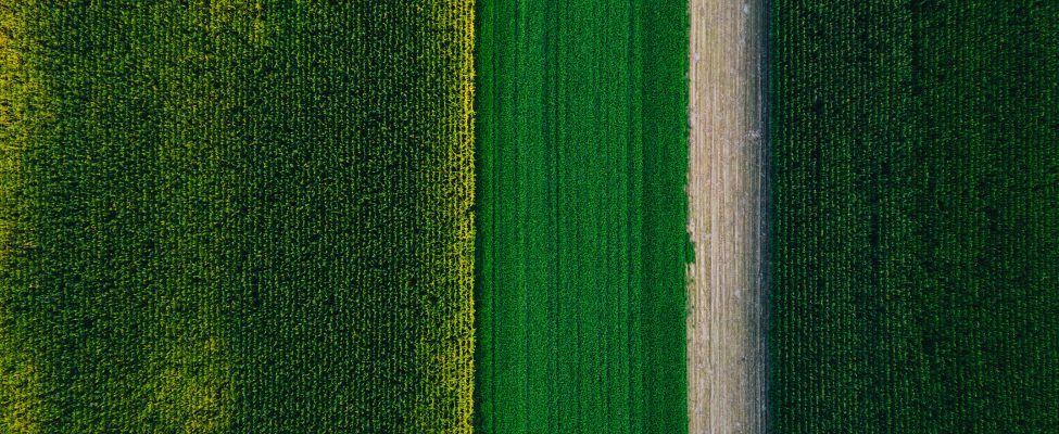 Taksonomia UE, SFDR i Weryfikacja Europejskich Zielonych Obligacji