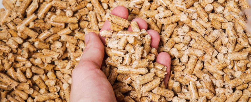 BM Certification uzyskało akceptację Systemu KZR INiG